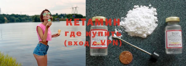 прущие грибы Аркадак