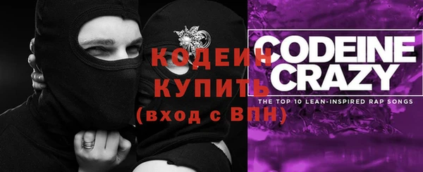 прущие грибы Аркадак