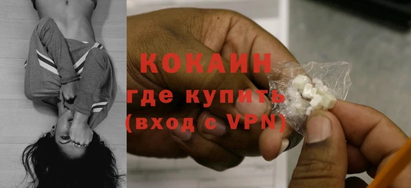 прущие грибы Аркадак
