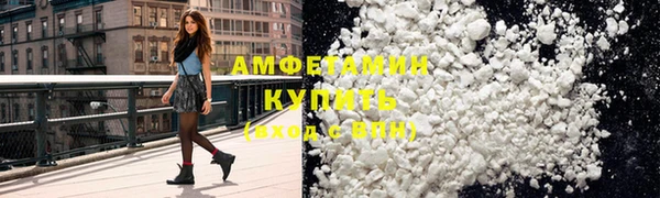 прущие грибы Аркадак