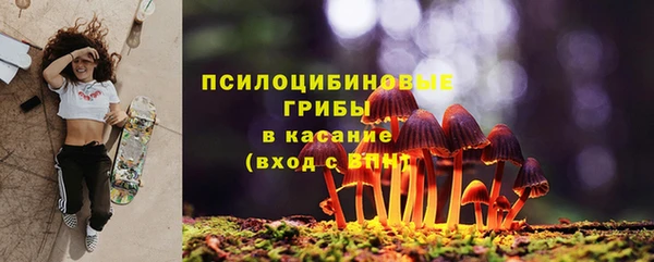 прущие грибы Аркадак