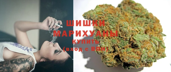 прущие грибы Аркадак