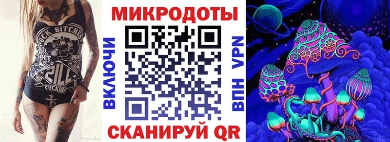Галлюциногенные грибы Psilocybine cubensis  Тейково 